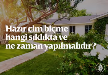 Hazır çim biçme hangi sıklıkta ve ne zaman yapılmalıdır?