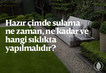 Hazır çimde sulama ne zaman, ne kadar ve hangi sıklıkta yapılmalıdır?