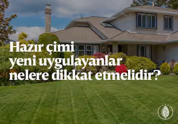 Hazır çimi yeni uygulayanlar nelere dikkat etmelidir?